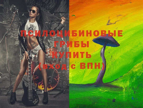 apvp Елизово