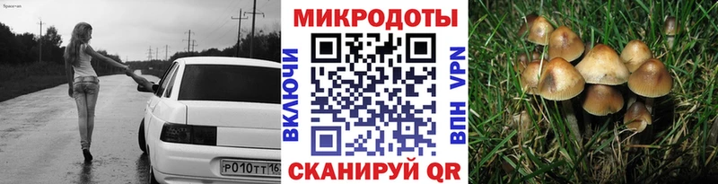 Псилоцибиновые грибы Magic Shrooms  Купить закладки  Мончегорск 