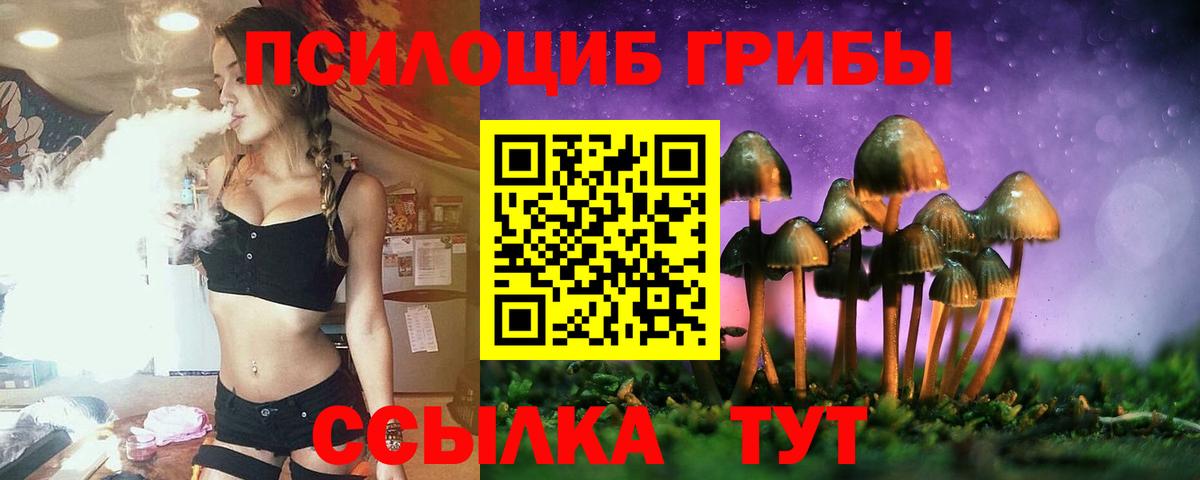 Мончегорск  Галлюциногенные грибы Cubensis  Галлюциногенные грибы прущие грибы  Вход с VPN 